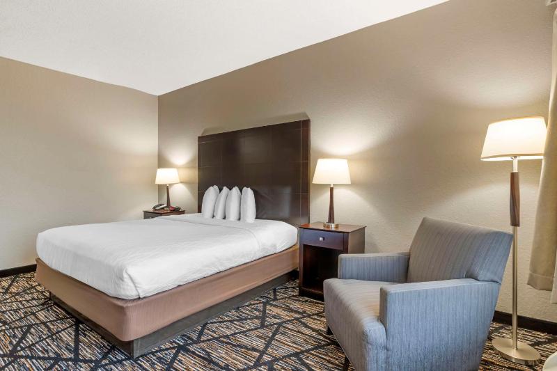 Best Western Plus Hobby Airport Inn & Suites - image 13