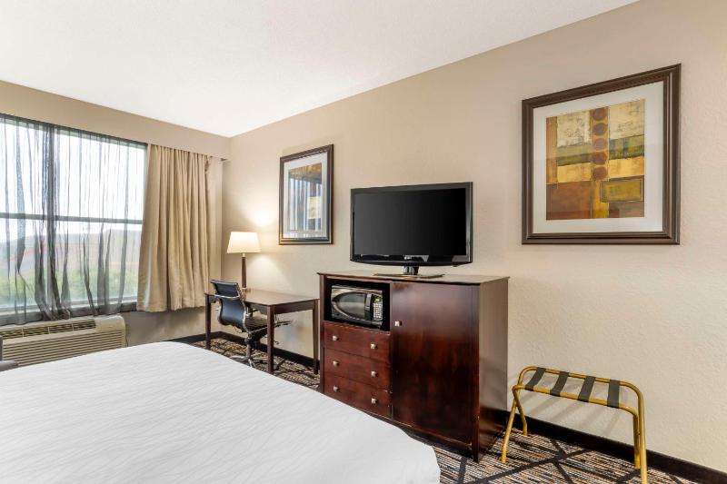 Best Western Plus Hobby Airport Inn & Suites - image 10