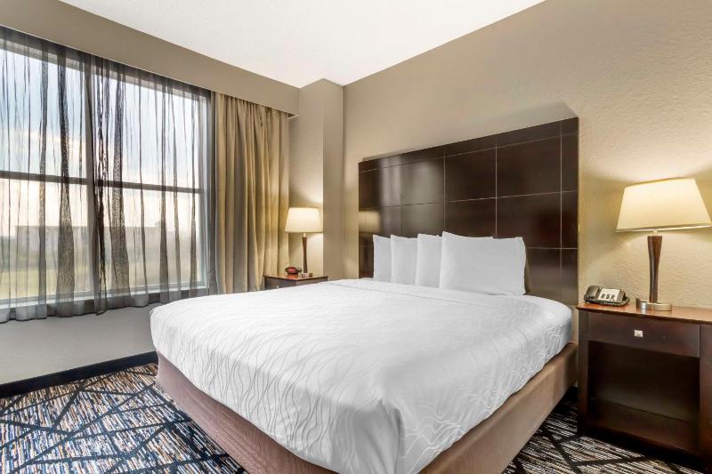 Best Western Plus Hobby Airport Inn & Suites - image 24