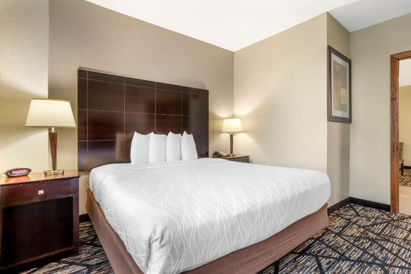 Best Western Plus Hobby Airport Inn & Suites - image 11