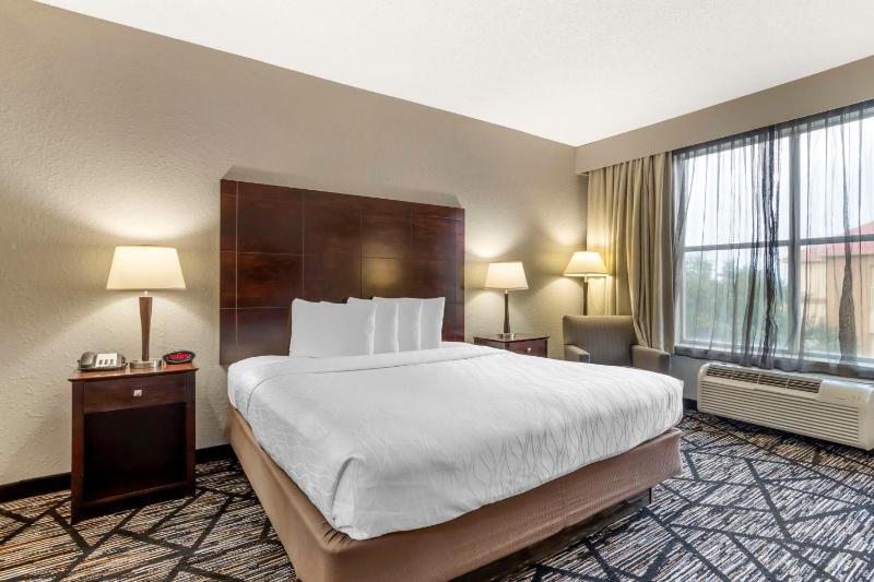 Best Western Plus Hobby Airport Inn & Suites - image 2
