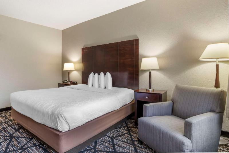 Best Western Plus Hobby Airport Inn & Suites - image 32