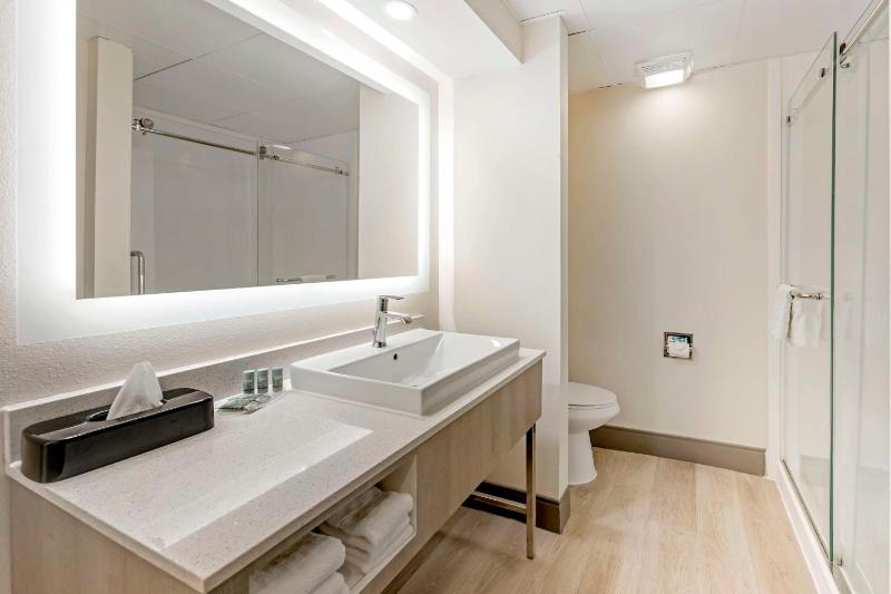 King Suite with One King Bed and Sofa Bed - Non-Smoking image 2