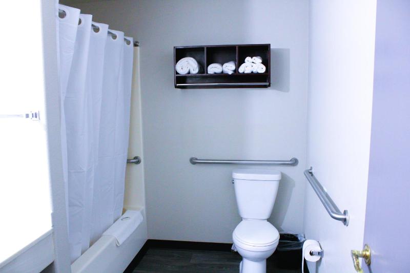 Deluxe King Suite image 2