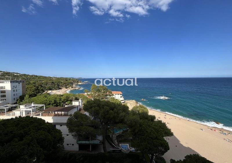 Cavall Bernat 84 - image 12