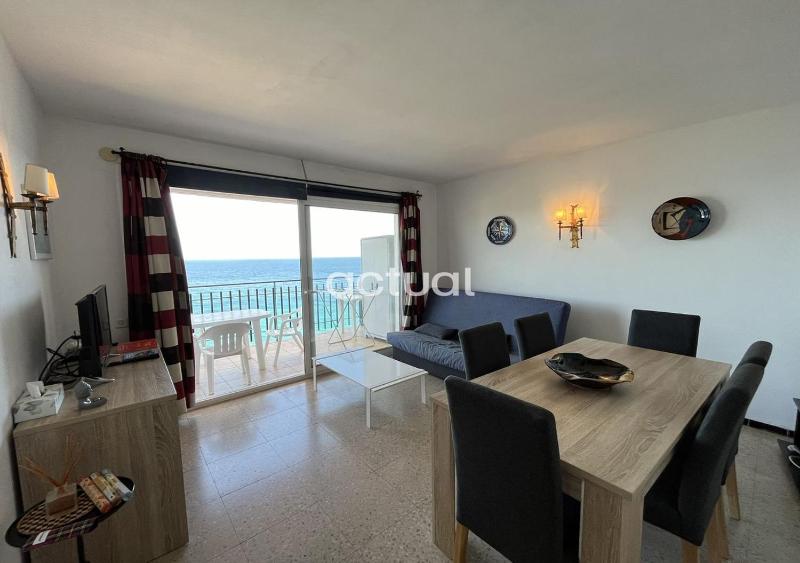 Cavall Bernat 84 - image 4