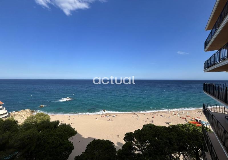 Cavall Bernat 84 - image 21