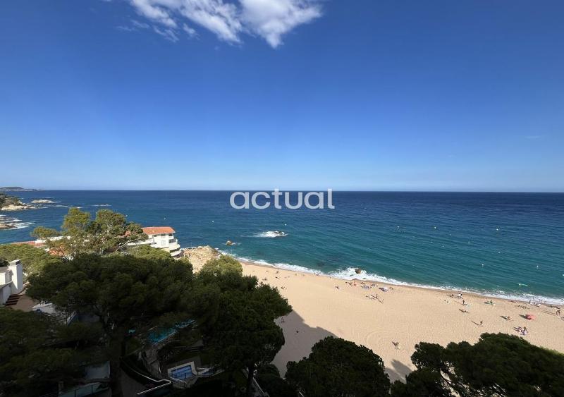 Cavall Bernat 84 - image 8