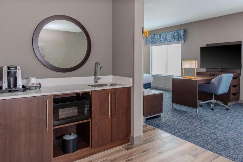 King Studio Suite image 3