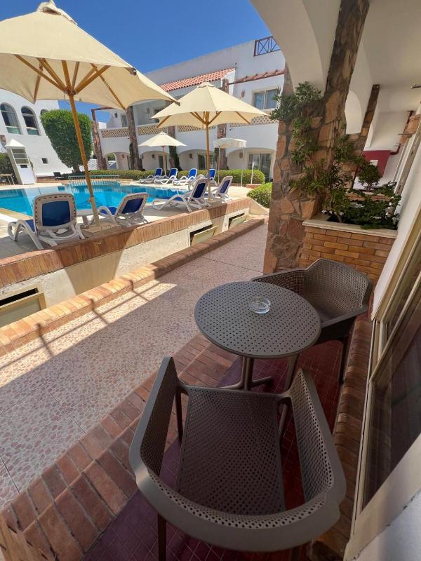 Camel Dive Club & Boutique Hotel - image 37
