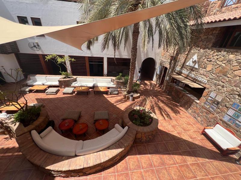 Camel Dive Club & Boutique Hotel - image 16