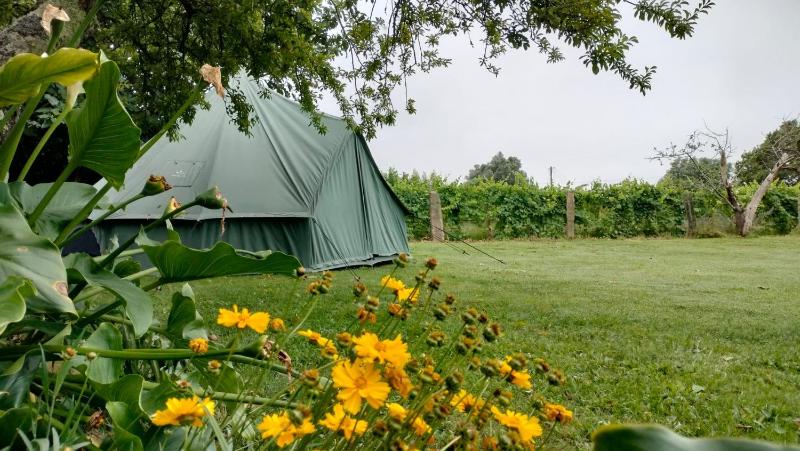 Tent image 1