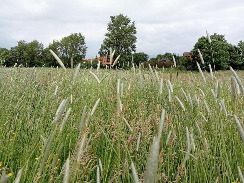 Ferienhaus Landschaft - image 14