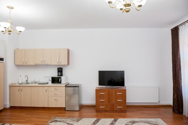 Studio Apartment image 2