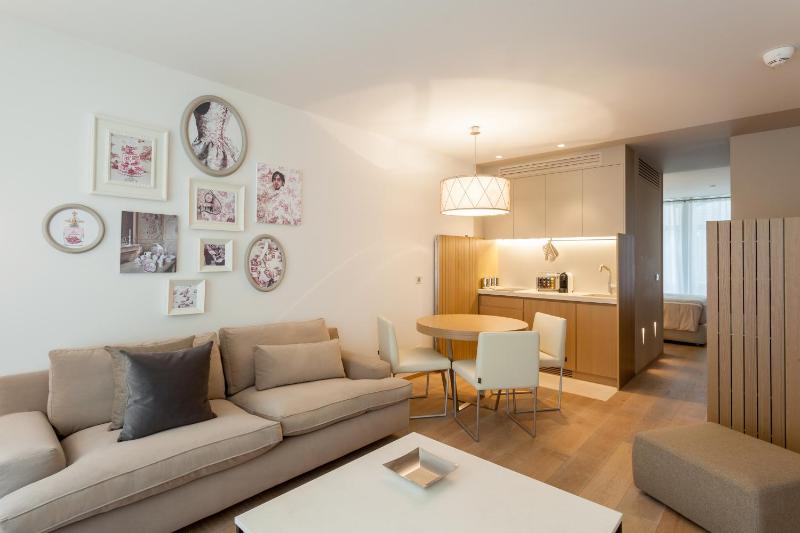 One Bedroom Apartment image 3