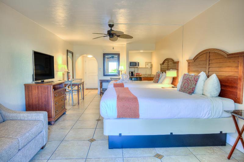 Queen Room with Two Queen Beds - Patio image 3