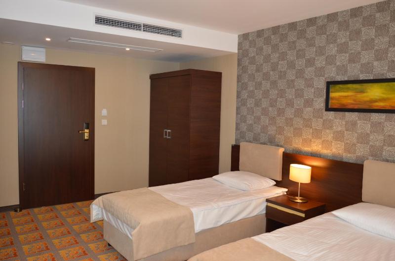 Standard Twin Room image 2
