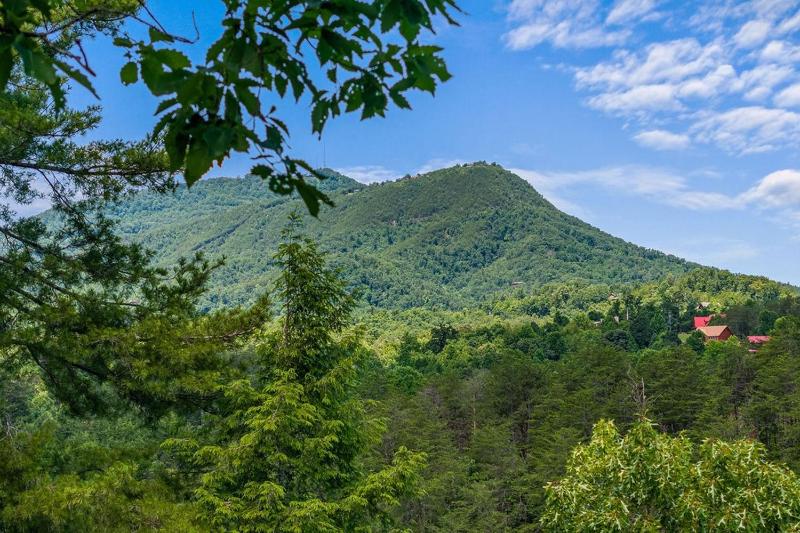 Deluxe Mountain Cabin in Bear Creek Crossing Resort - image 15