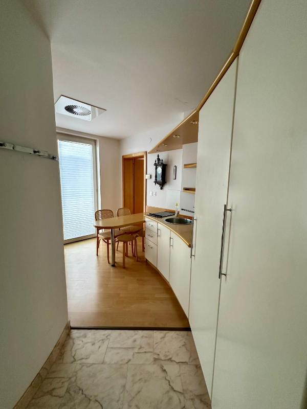 MB apartment Bled - image 8