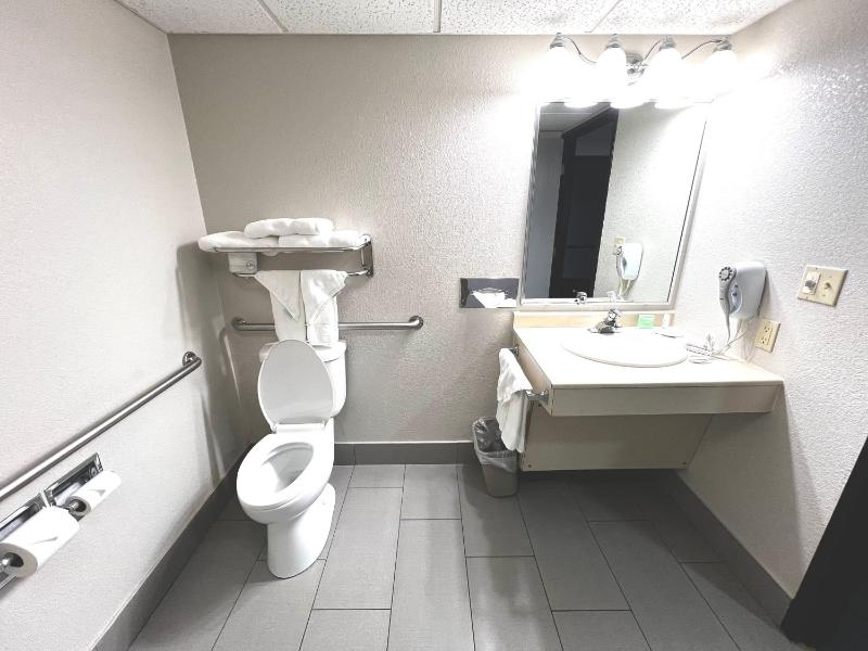 King Room - Disability Access image 4