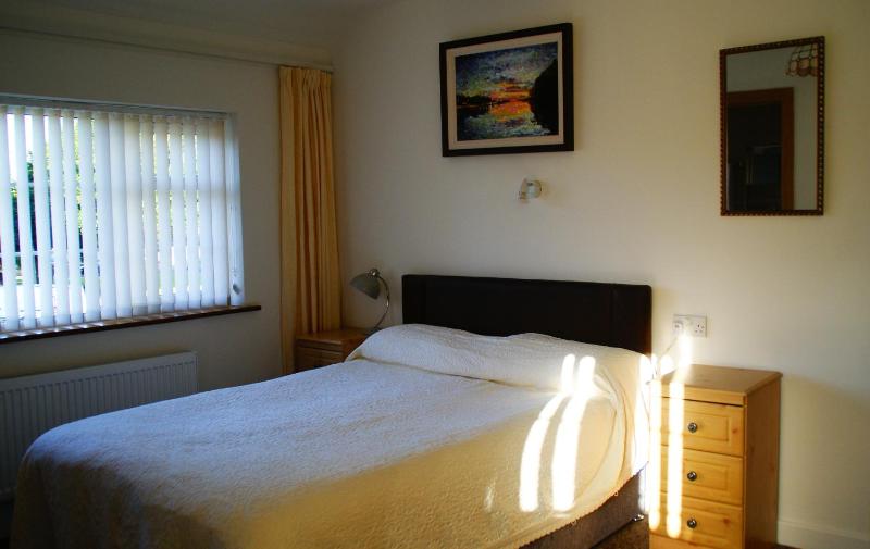 Deluxe Double Room image 3