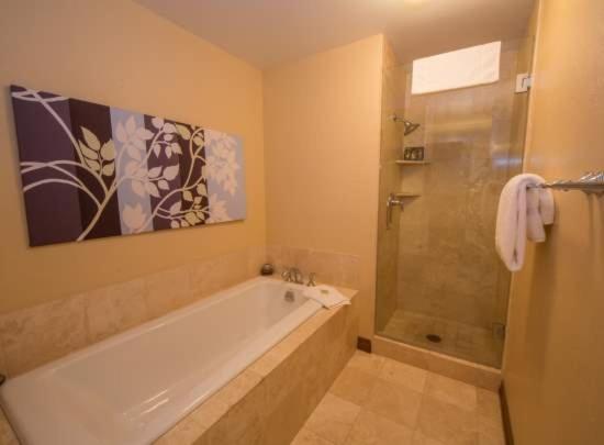 Strawberry Park Luxurious Condos Directly on the Slopes Next to Chairlift condo - image 7