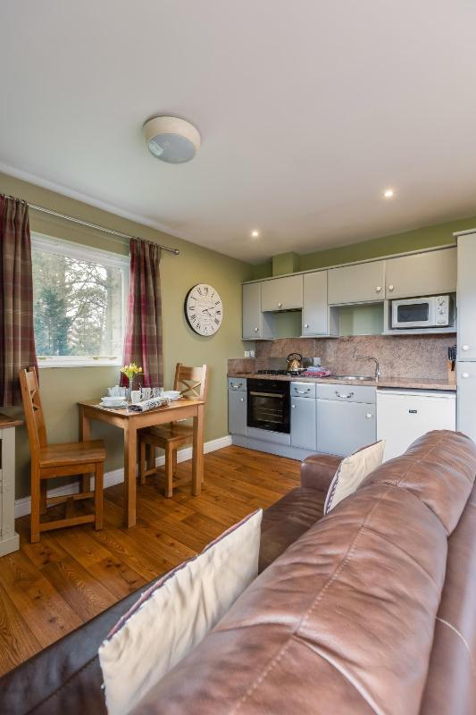 Studio Lodge Without Hot Tub image 1