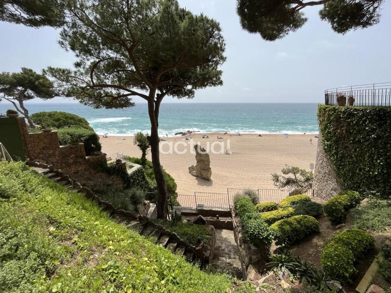 Cavall Bernat 84 - image 14