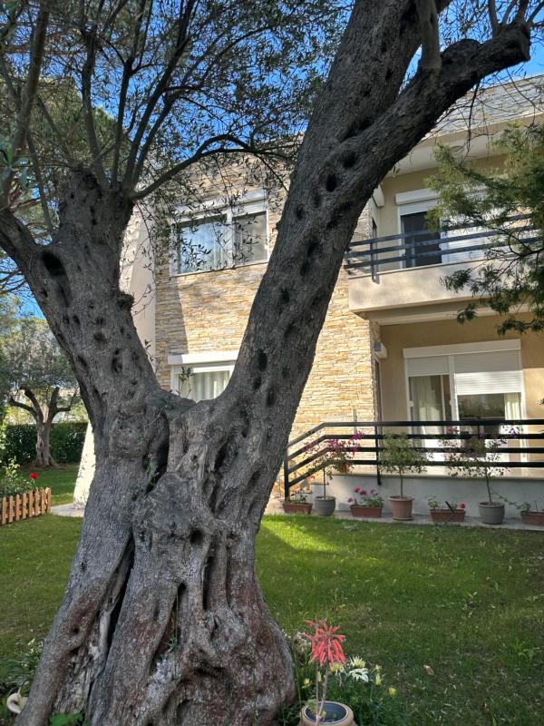 Vila Neziri - image 12