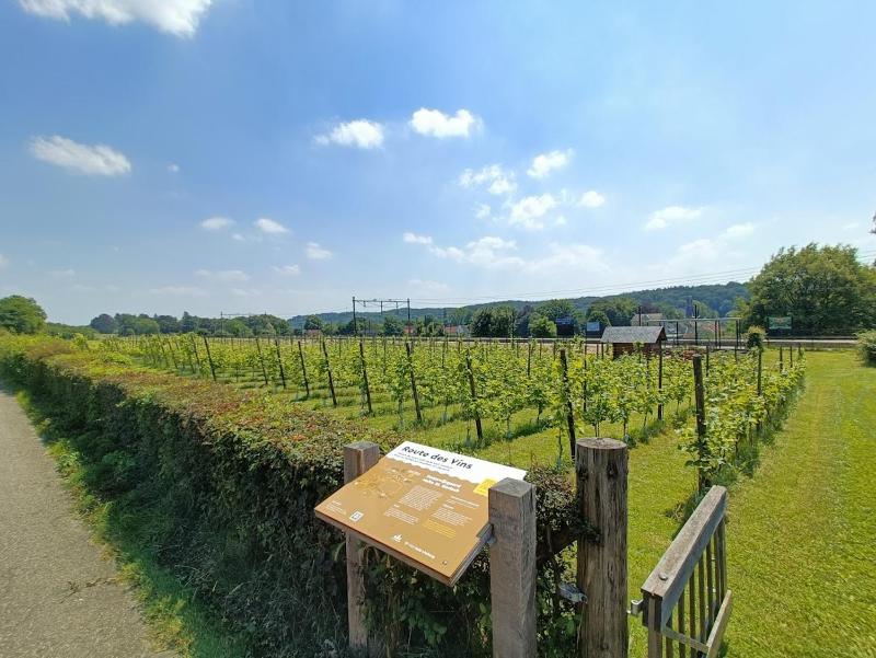Holiday Home image 3