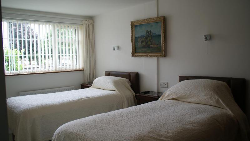 Deluxe Twin Room image 4