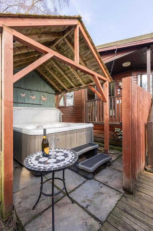 Premier Lodge with Hot Tub image 3
