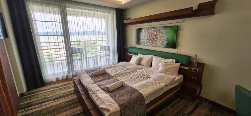 Double or Twin Room with Lake View image 2