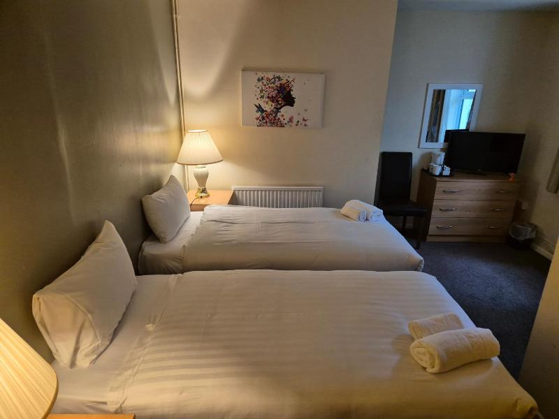 Standard Twin Room image 3