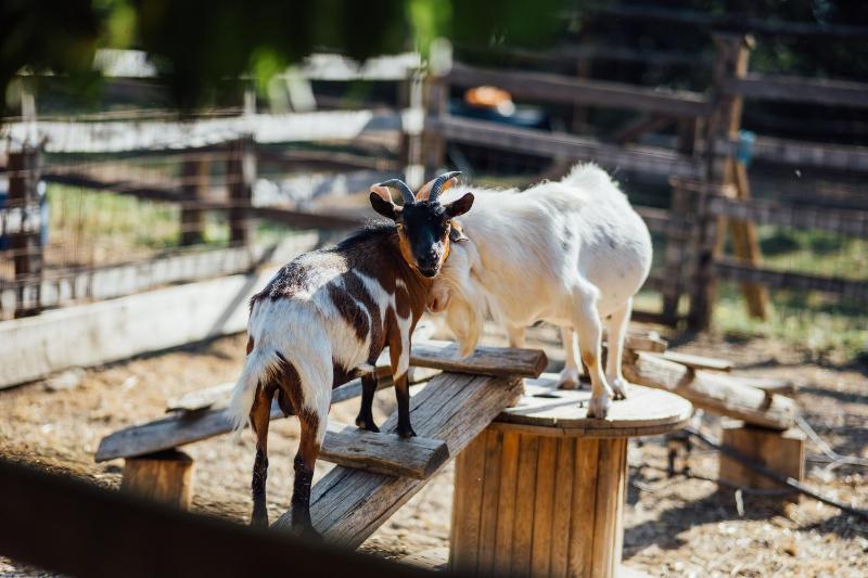 Holiday Home image 4