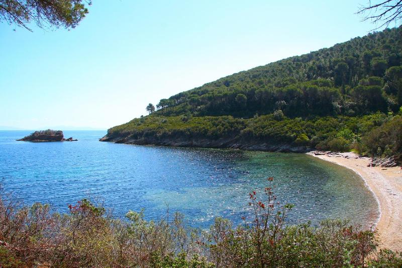 Tenuta Delle Ripalte - image 11