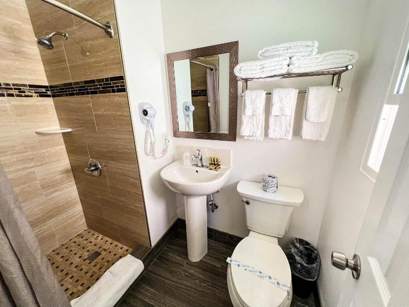 Deluxe Family Suite image 1
