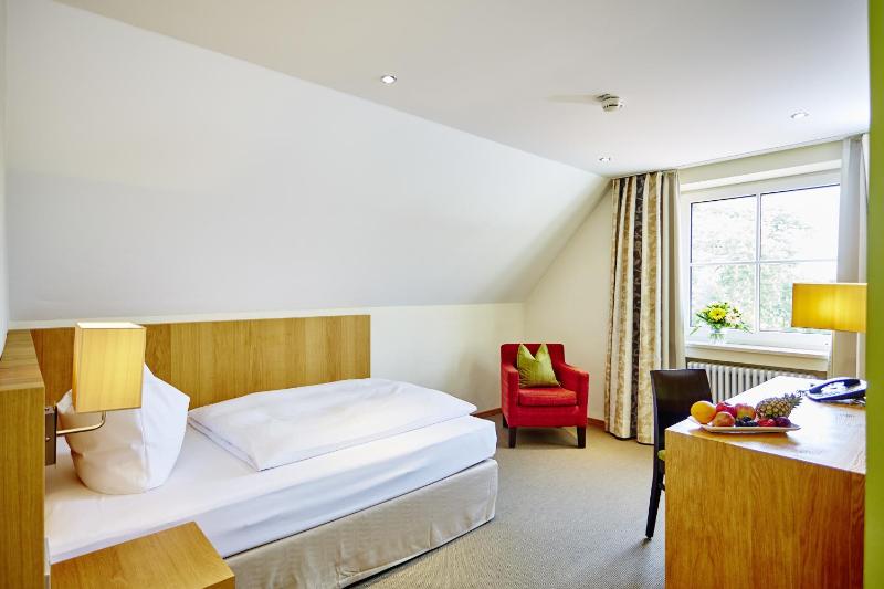 Superior Single Room image 4