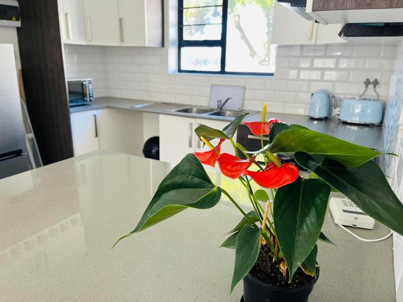 Mount Pleasant Suites Images