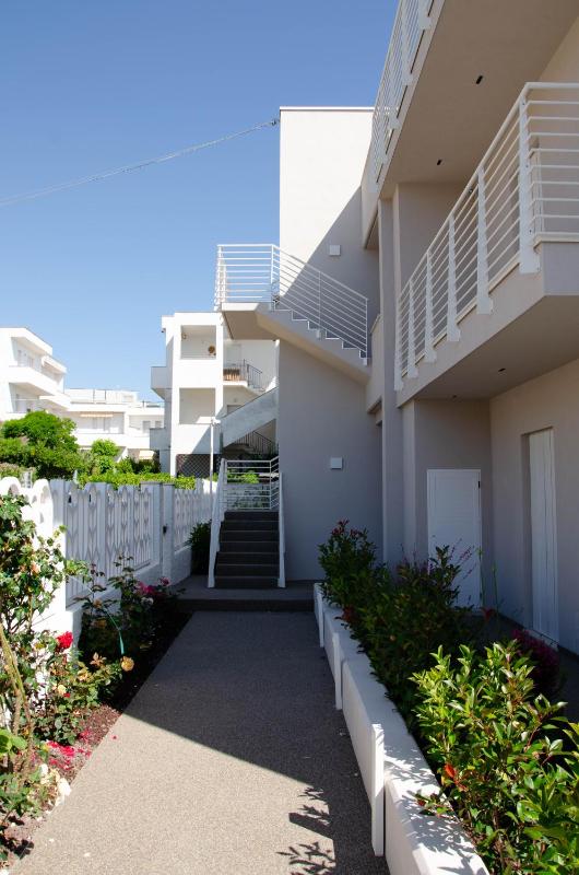 La Rosantica - image 17