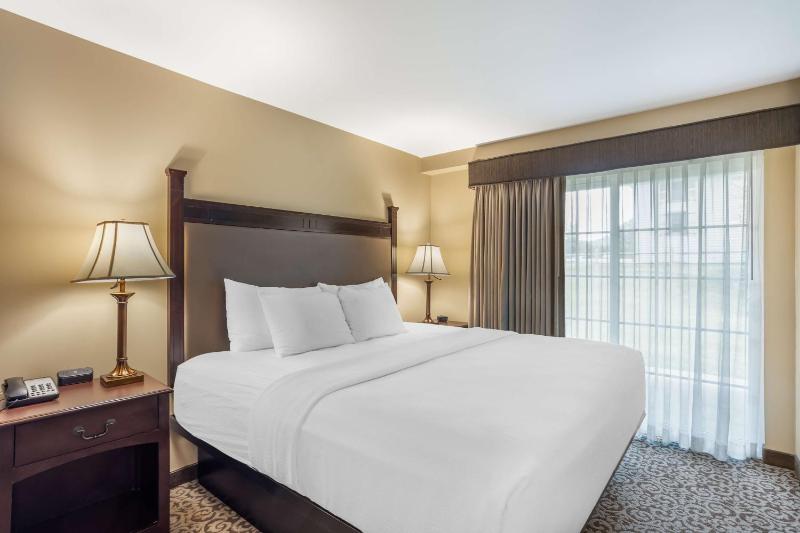 Two-Room King Suite with Sofa Bed image 2