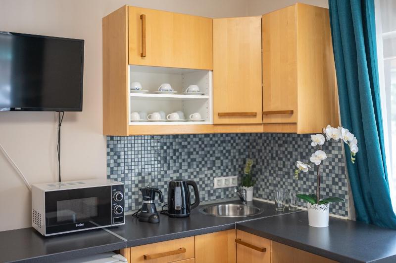 One-Bedroom Apartment image 3