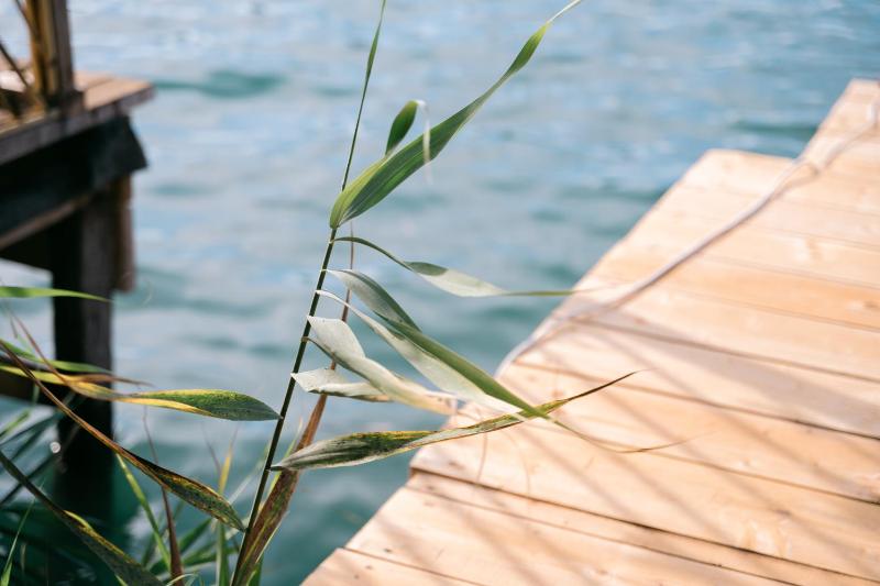 River house - Esperanza - image 7