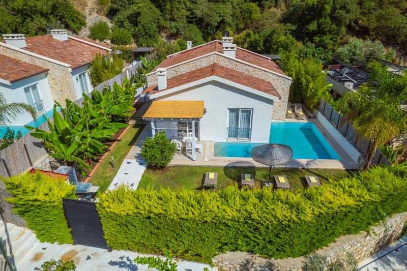 Villa with Private Pool image 1