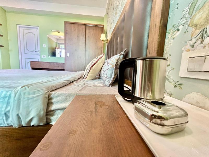 Yepplo's Luxury Deluxe Room with Mountain View - image 10