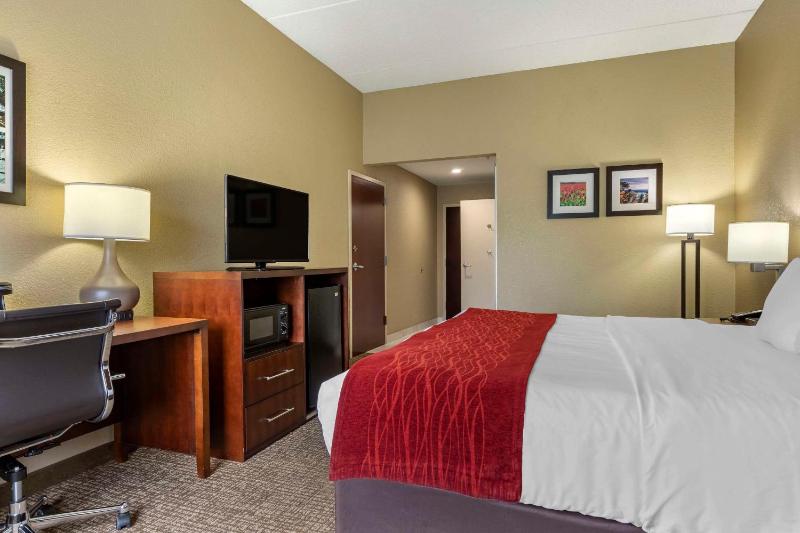 King Room - Disability Access/Non-Smoking image 3