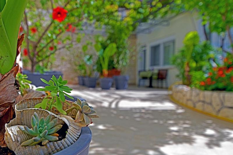 One-Bedroom Apartment with Terrace image 3