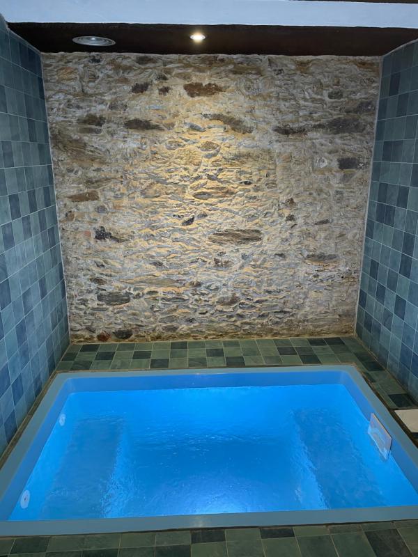 Suite with Private Pool image 3