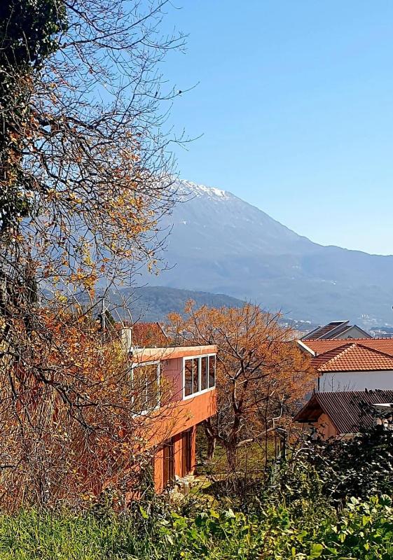 Villa Bambooka Images