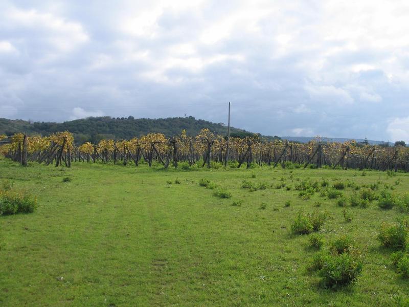 Il Canto di Kokopelli Country Houses - image 2